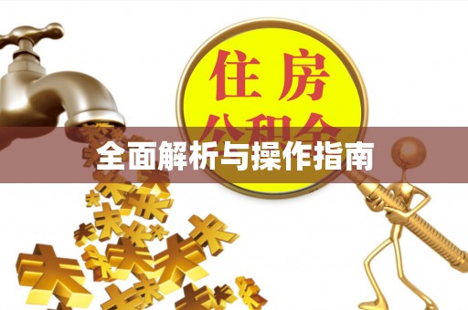 西夏全面解析与操作指南