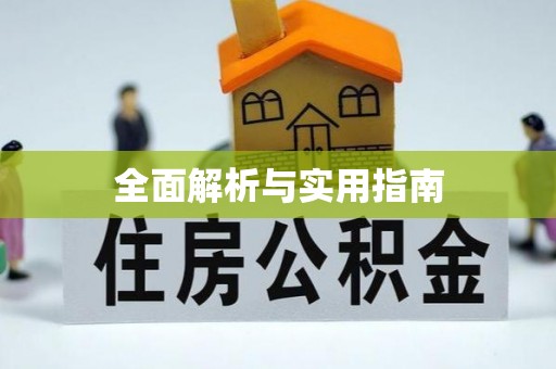 西夏全面解析与实用指南