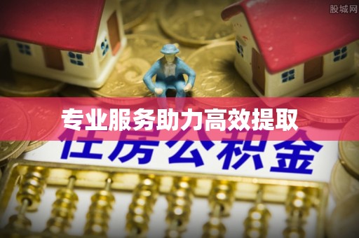 西夏专业服务助力高效提取