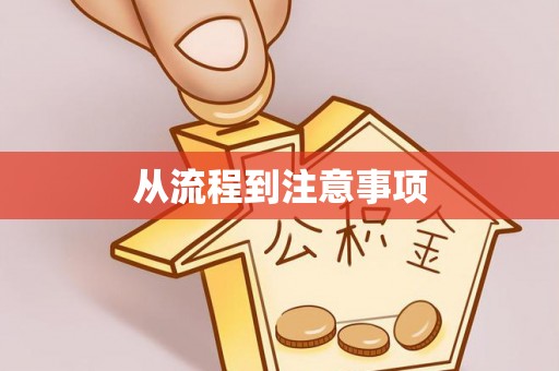 西夏从流程到注意事项