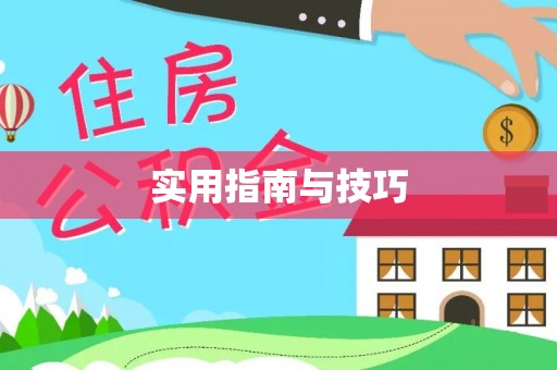 西夏实用指南与技巧