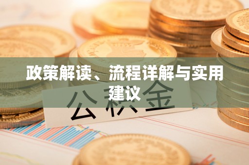 西夏政策解读、流程详解与实用建议