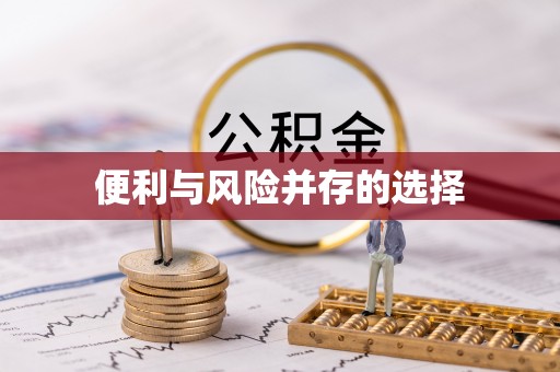 西夏便利与风险并存的选择