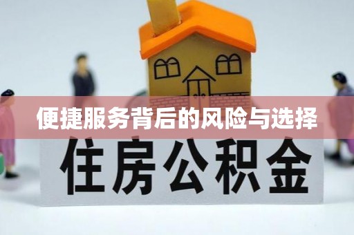 西夏便捷服务背后的风险与选择