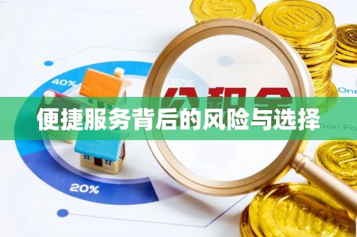 西夏便捷服务背后的风险与选择