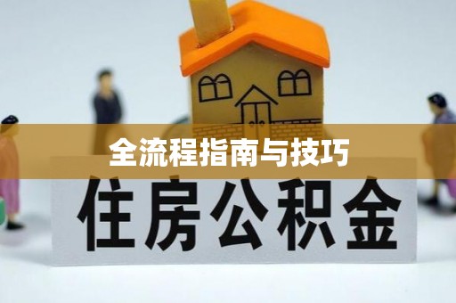 西夏全流程指南与技巧