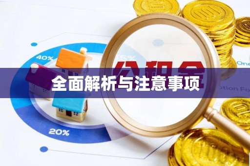 西夏全面解析与注意事项