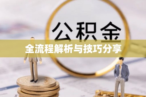 西夏全流程解析与技巧分享