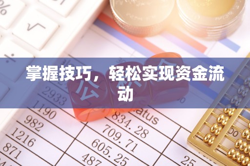 西夏掌握技巧，轻松实现资金流动