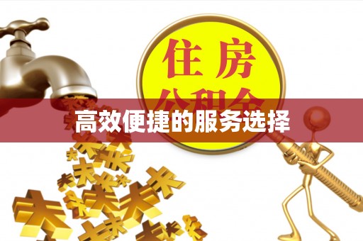 西夏高效便捷的服务选择