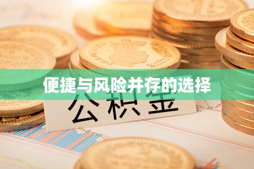 西夏便捷与风险并存的选择