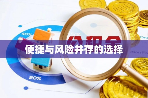 西夏便捷与风险并存的选择