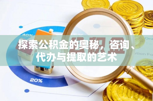 西夏探索公积金的奥秘，咨询、代办与提取的艺术