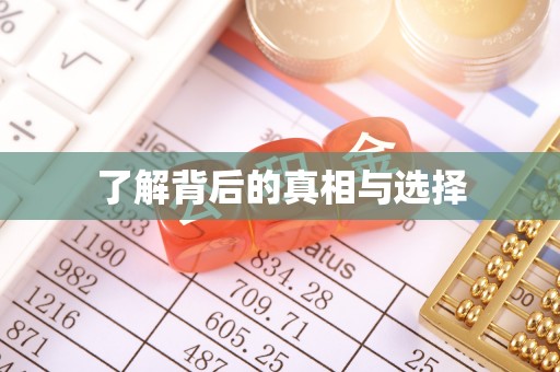西夏了解背后的真相与选择